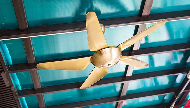 Fancy ceiling fan against teal ceiling with wooden beams